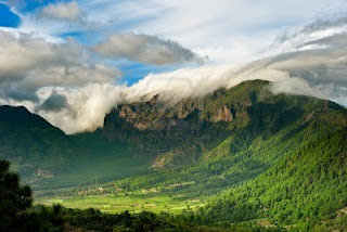 contactos la palma canarias
